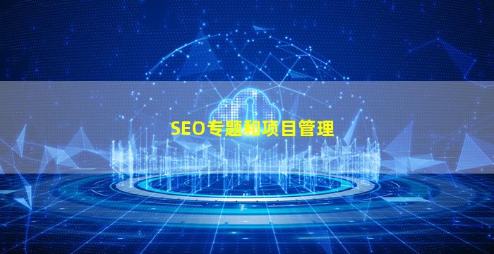 SEO专题和项目管理