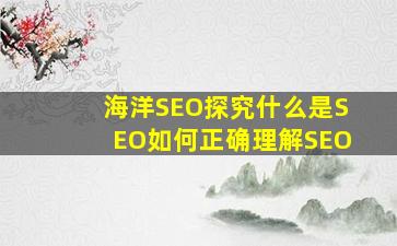 海洋SEO探究什么是SEO如何正确理解SEO